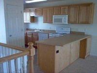 Light Oak Raised Panel Cabinets
