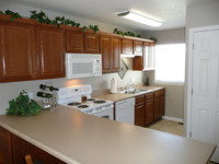 Dark Oak Raised Panel Cabinets